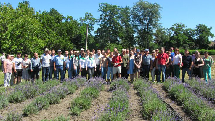День поля в селі Березоточа